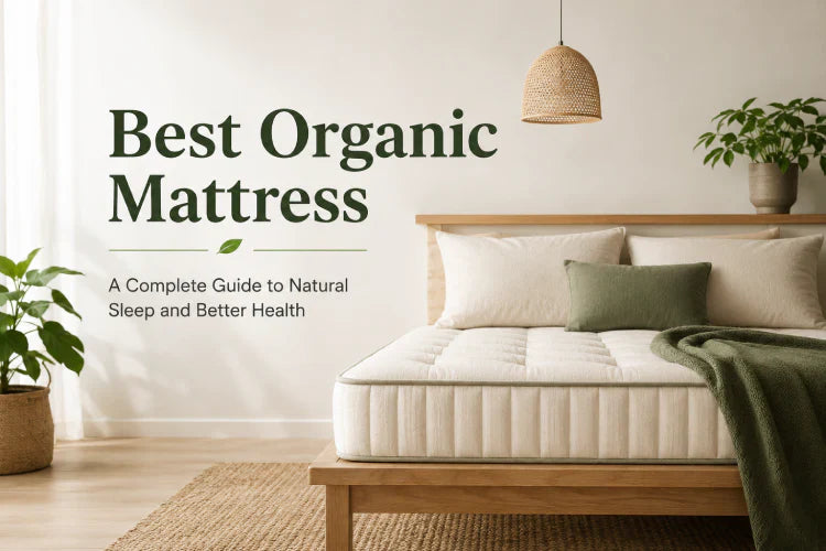 The Ultimate Guide to Finding the Best Organic Mattress