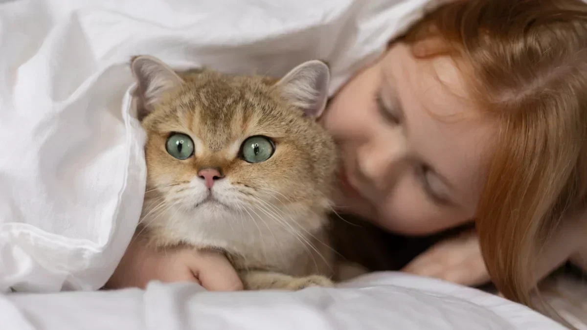 How to Keep Your Bed Clean With Cats and Dogs?